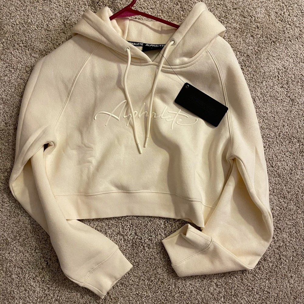 Alphalete Cropped Hoodie
